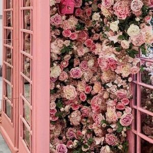 Meet your Posher, Avery